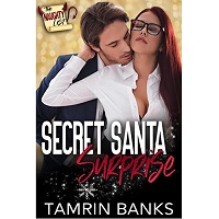 Secret Santa Surprise by Tamrin Banks EPUB & PDF