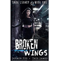 Broken Wings by Tate James EPUB & PDF