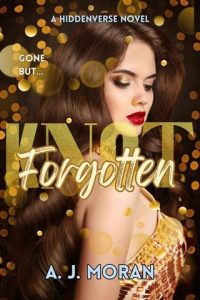 Knot Forgotten (HIDDENVERSE) by A.J. Moran EPUB & PDF