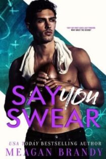 Say You Swear by Meagan Brandy EPUB & PDF