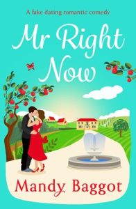 Mr Right Now by Mandy Baggot EPUB & PDF