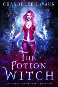 The Potion Witch by Chandelle LaVaun EPUB & PDF