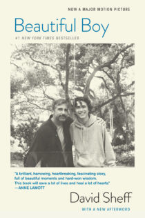 Beautiful Boy by David Sheff EPUB & PDF