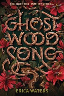 Ghost Wood Song by Erica Waters EPUB & PDF