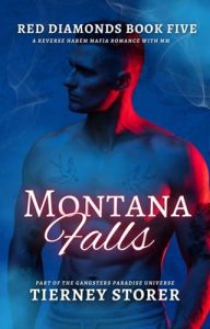 Montana Falls by Tierney Storer EPUB & PDF