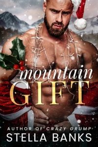 Mountain Gift by Stella Banks EPUB & PDF