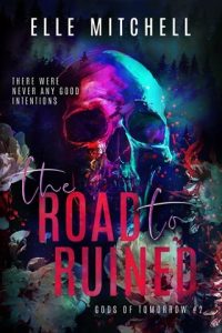 The Road to Ruined by Elle Mitchell EPUB & PDF