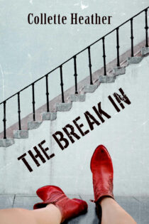 The Break In by Collette Heather EPUB & PDF