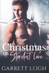 Christmas On Stardust Lane by Garrett Leigh EPUB & PDF