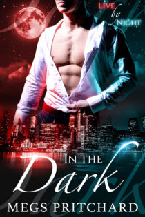 In The Dark by Megs Pritchard