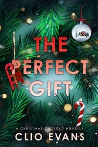 The Perfect Gift by Clio Evans EPUB & PDF