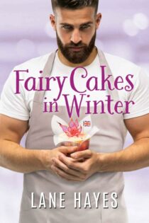 Fairy Cakes in Winter by Lane Hayes EPUB & PDF