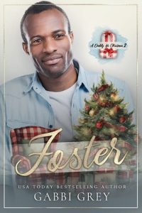 Foster by Gabbi Grey EPUB & PDF