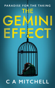 The Gemini Effect by C A Mitchell EPUB & PDF