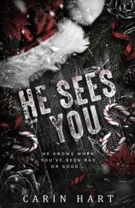 He Sees You by Carin Hart EPUB & PDF