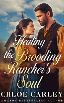 Healing the Brooding Rancher's Soul by Chloe Carley