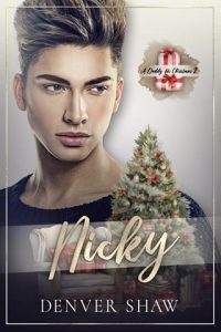 Nicky by Denver Shaw EPUB & PDF