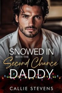 Snowed In With The Second Chance by Callie Stevens