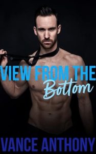 View From the Bottom by Vance Anthony EPUB & PDF