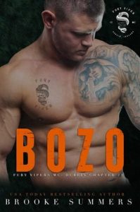 Bozo by Brooke Summers EPUB & PDF