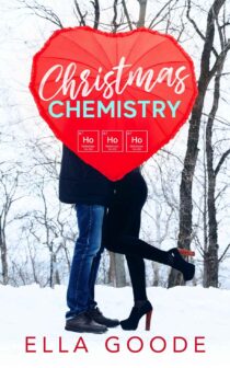 Christmas Chemistry by Ella Goode