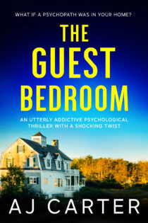 The Guest Bedroom by AJ Carter