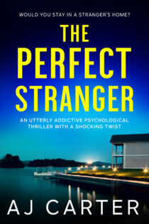 The Perfect Stranger by AJ Carter