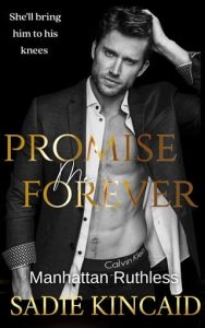 Promise Me Forever by Sadie Kincaid EPUB & PDF