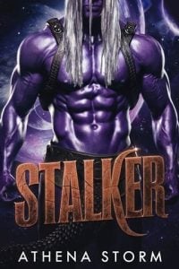 Stalker by Athena Storm EPUB & PDF