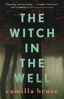 The Witch In the Well by Camilla Bruce