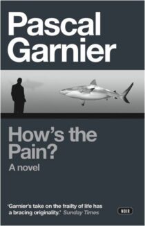 How's the Pain by Pascal Garnier