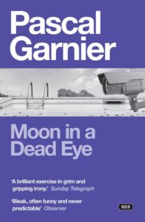 Moon in a Dead Eye by Pascal Garnier