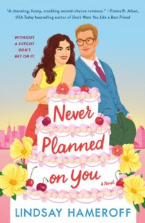 Never Planned on You by Lindsay Hameroff