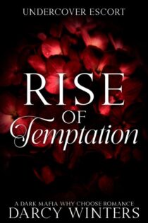 Rise of Temptation by Darcy Winters