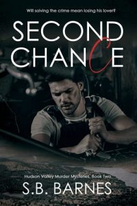 Second Chance by S.B. Barnes EPUB & PDF