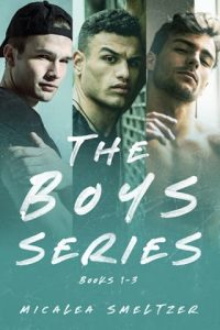 The Boys Series Omnibus by Micalea Smeltzer EPUB & PDF