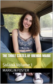 The Three States of Brenda Marie by Marklin Foster