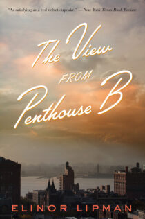 The View From Penthouse B by Elinor Lipman