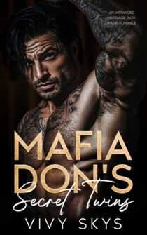 Mafia Don's Secret Twins by VIVY SKYS EPUB & PDF