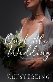 Our Little Wedding by S.L. Sterling