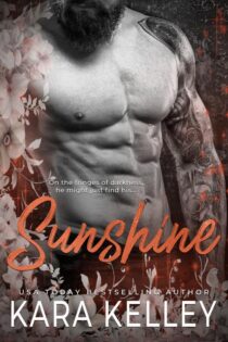 Sunshine by Kara Kelley