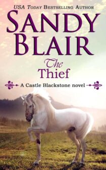 The Thief by Sandy Blair EPUB & PDF