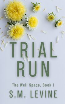 Trial Run by S.M. Levine EPUB & PDF