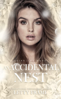 An Accidental Nest by Letty Frame EPUB & PDF