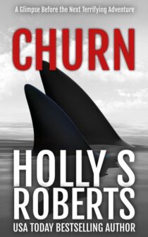 Churn by Holly S. Roberts EPUB & PDF