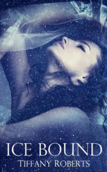 Ice Bound by Tiffany Roberts EPUB & PDF