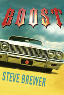 Boost by Steve Brewer EPUB & PDF