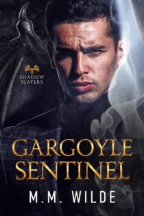 Gargoyle Sentinel by M.M. Wilde EPUB & PDF