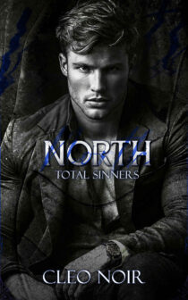 North by Cleo Noir EPUB & PDF