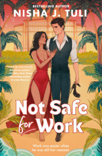Not Safe for Work by Nisha J. Tuli EPUB & PDF